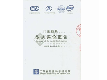 仪表检测报告