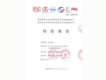 小电流型式试验报告-国网电科院